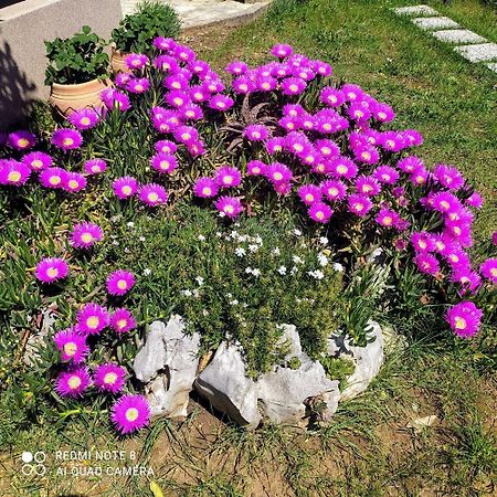 Apartmani Skopac Rabac Pokoj fotografie
